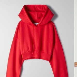 aritzia cropped hoodie